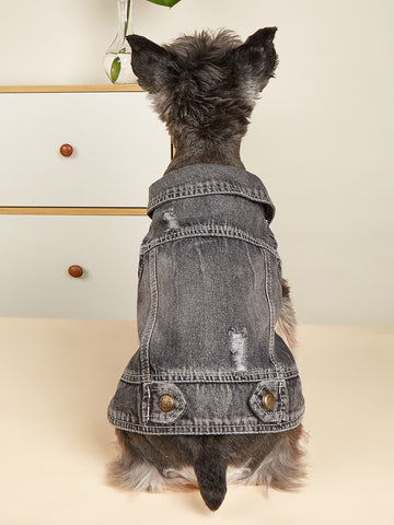 1pc Grey Pet Denim Vest For Daily Wear, Suitable For Cats And Small To Medium-Sized Dogs