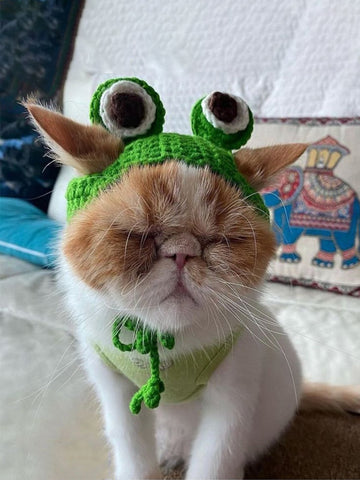 Frog Eye Detail Knitted Pet Headwear