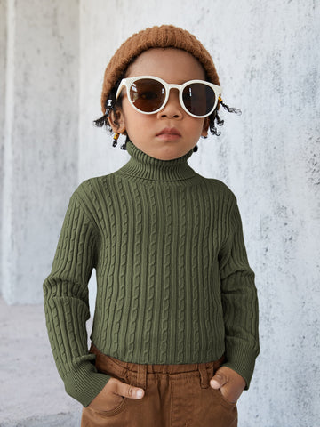 Toddler Boys Turtle Neck Cable Knit Sweater