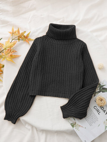Tween Girl Solid Turtleneck Sweater