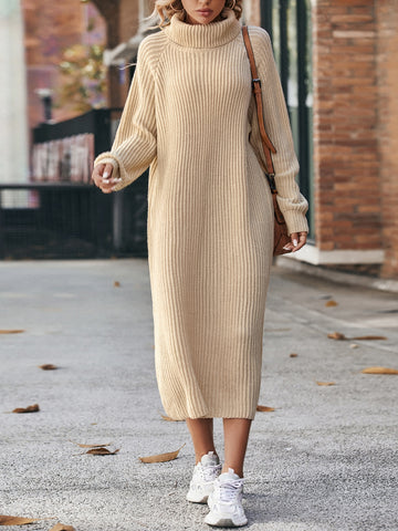 Turtleneck Raglan Sleeve Sweater Dress