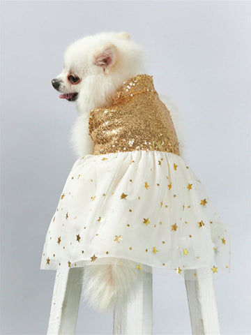 Gold Sequins Decor Mesh Pet Dress With Star Foil Print, Fits Both Cats And Dogs