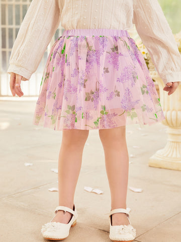 Toddler Girls Layered Mesh Ombre Skirt