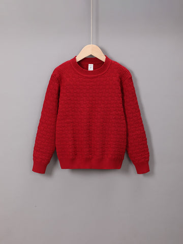 Boys Textured Knit Sweater