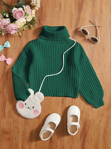 Young Girl Solid Turtleneck Sweater