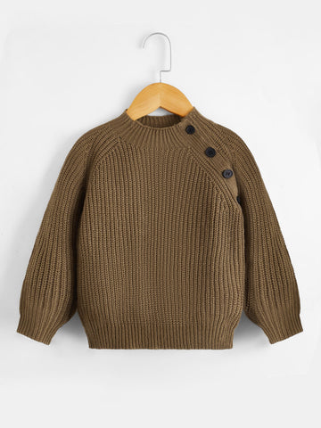 Toddler Boys Raglan Sleeve Button Detail Sweater