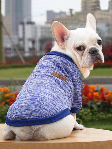 1pc Letter Patch Pet Sweatshirt For Cat And Dog For Cold Season