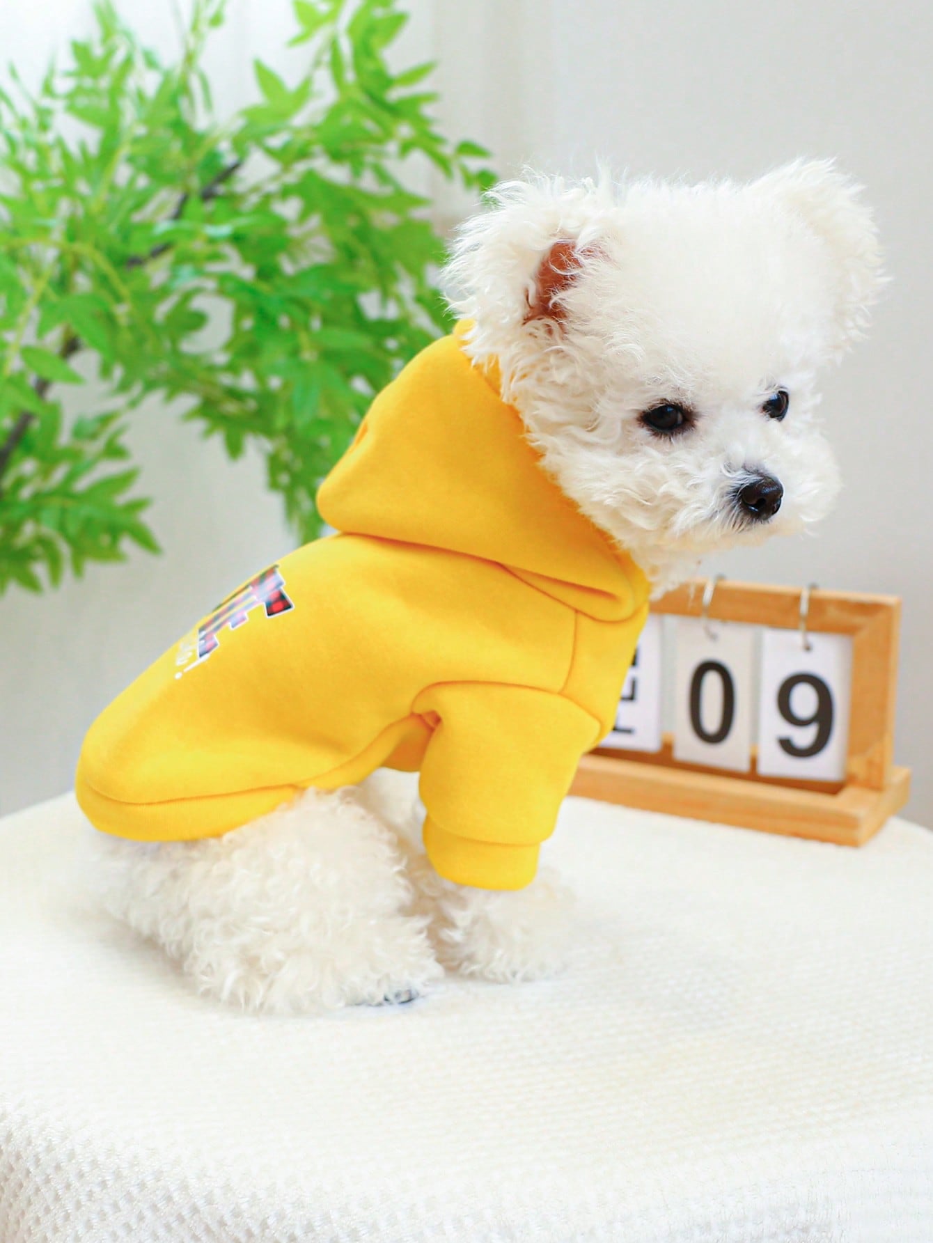 1pc Pet Clothes For Medium-Large Sized Dogs, Cute Trouble English Print Lemon Yellow Sweatshirt