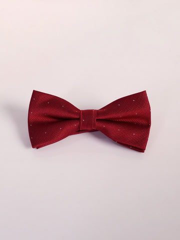 1pc Children's Festive And Personalized Bow Tie For Daily Wear