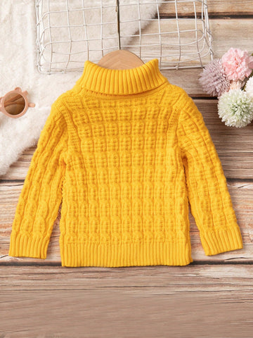 Baby Boy Turtleneck Cable Knit Sweater