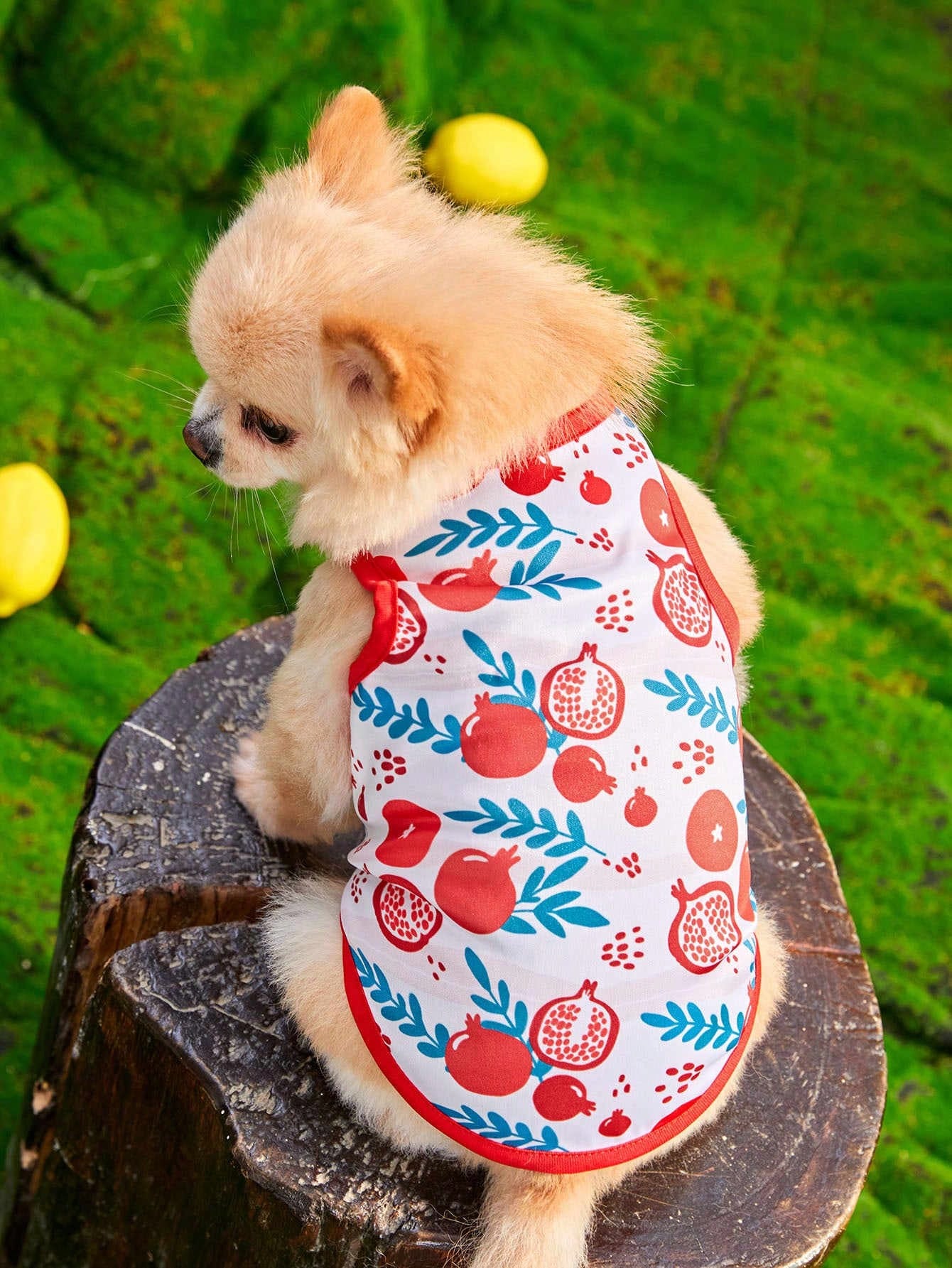 Petsin Colorful Fruit Printed Pet Dog/cat Vest
