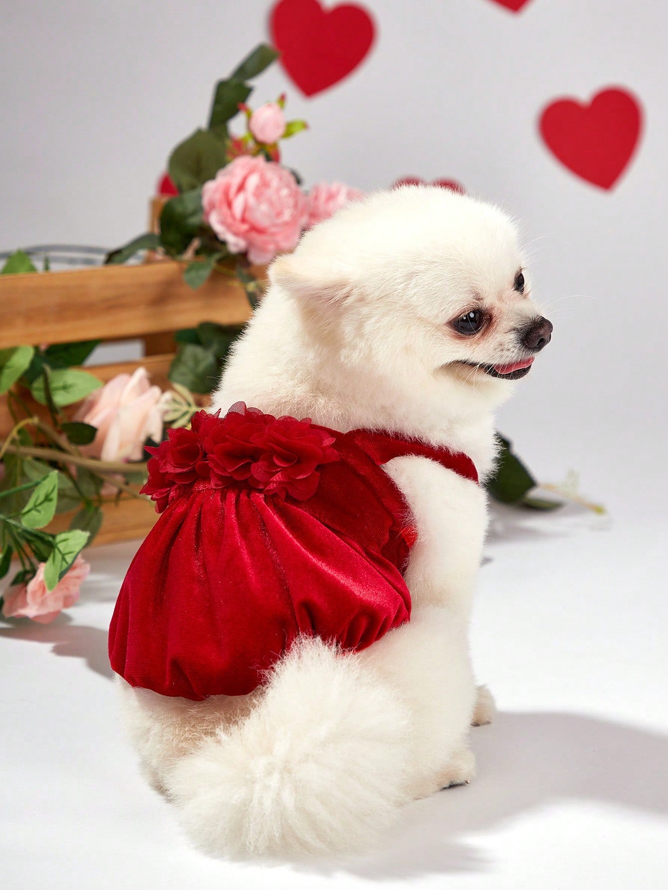 Red Velvet 3d Flower Lantern Suspender Skirt, Valentine's Day Pet Cat & Dog Dress