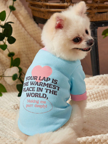 1pc Cute Slogan & Pet Print Color Block Pullover Without Hood For Pet, Blue & Pink