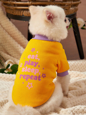 1pc Yellow & Purple Colorblocked Cute Slogan Pet Printed Pet Sweatshirt Without Hood For Warmth